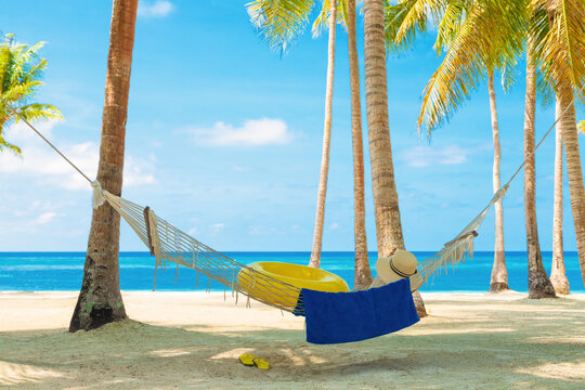 hammock with swimming accessories between palm trees on the seashore, beach holiday concept