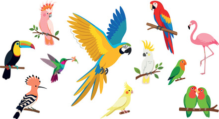 Beautiful exotic tropical birds vector illustration collection featuring colorful parrots macaw toucan and flamingo isolated on white background © MstAirin
