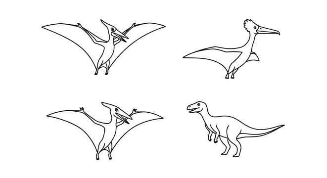 Pterosaur and flying dinosaur outline drawings.