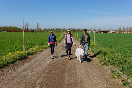 group of Friends Walking Maremma Sheepdog Along Rural Dirt Road on Sunny Day