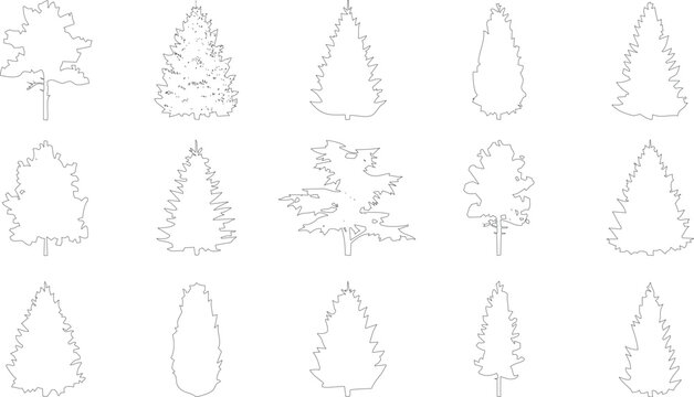 Collection of evergreen coniferous trees in outline style isolated on transparent background for graphic design.