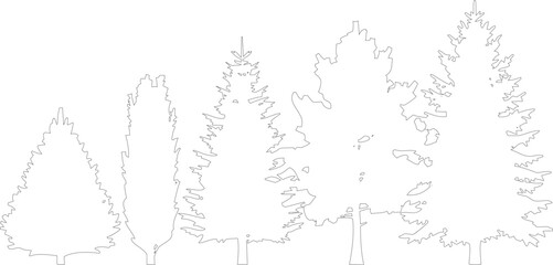 Obraz premium Group of detailed black and white pine trees in line drawing style with varied dense foliage on transparent background.