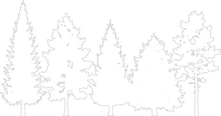 Assortment of black and white coniferous trees in line drawing style showcasing different textures and shapes on transparent background. © MD ALI STOCK
