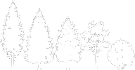 Selection of diverse black and white coniferous and deciduous trees and bushes in line drawing style on transparent background. © MD ALI STOCK