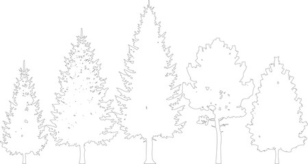 Array of black and white trees including coniferous and deciduous types in line drawing format on transparent background. © MD ALI STOCK
