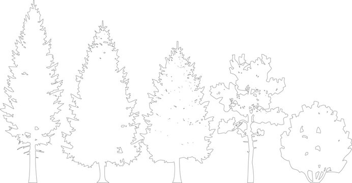 Selection of diverse black and white coniferous and deciduous trees and bushes in line drawing style on transparent background.