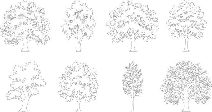 Set of deciduous trees with full leafy crowns and detailed branches in outline art for nature and garden themes.