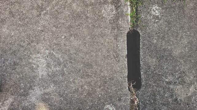 A weathered concrete surface featuring a narrow crack where green grass grows naturally