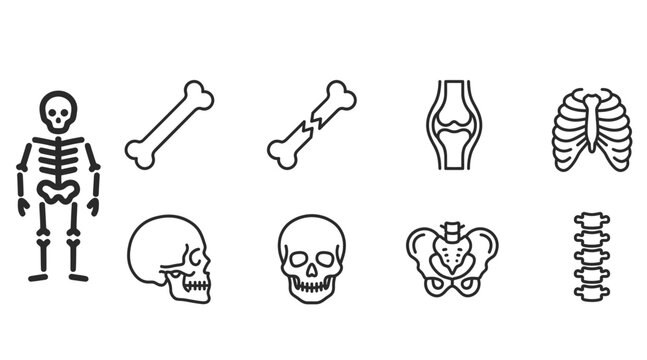 Set of human skeleton and bone icons