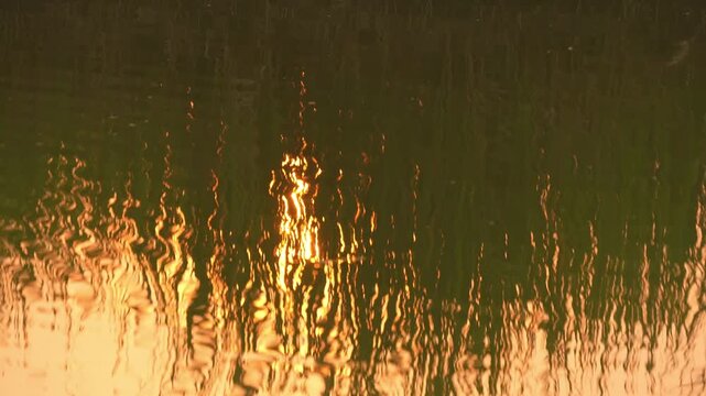 Silhouette of grass reflection on moving water surface during sunset. Golden ripple texture background for zen meditation.