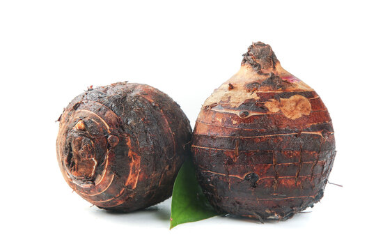 Fresh Lipu Taro Roots from Guangxi China Studio Still Life with Green Leaf
