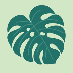 Tropical green monstera leaf vector illustration. Flat cartoon exotic jungle plant foliage, rainforest nature botanical isolated design element © clelia-clelia