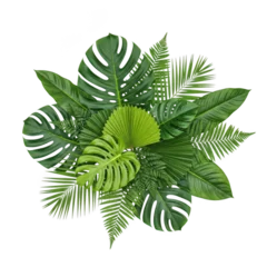 Lush arrangement of tropical monstera, fern, and palm leaves in vibrant shades of green and emerald tones isolated on a transparent background © Umme Sowaiba 