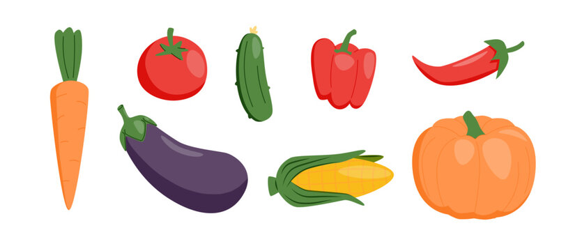 Modern hand drawn vegetable collection with colorful fresh produce illustrations. Perfect for healthy food branding