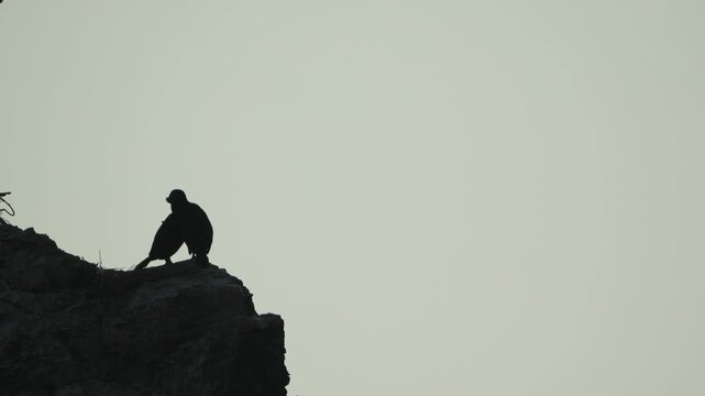 Silhouette cliff dramatic figure stands isolated on a rocky mountain peak against a bright empty sky background.