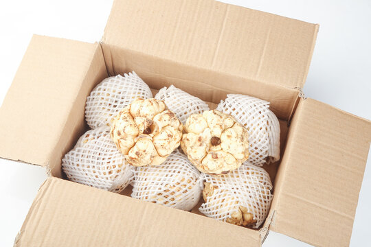 Fresh lily bulbs in cardboard box with protective net packaging