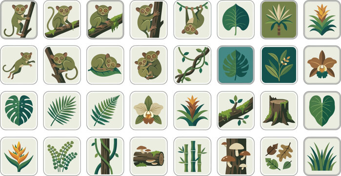 Set of cute tarsier monkey illustrations and tropical jungle plant icons for nature education and wildlife design