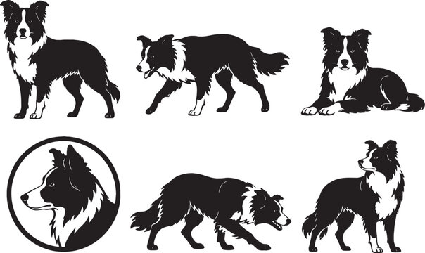 Border Collie Silhouette Icon Set Collection Black Dog Vector Isolated on White Background