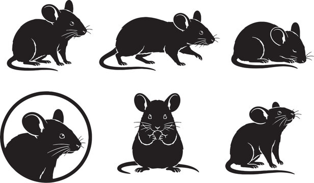 Dumbo Rat Silhouette Icon Set Black Vector Collection Isolated on White Background