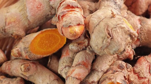 Turmeric curcumin rhizome (root) rotation.