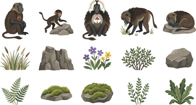 Set of mandrill monkeys in various poses with rocky terrain, mossy stones, wild flowers and forest vegetation icons