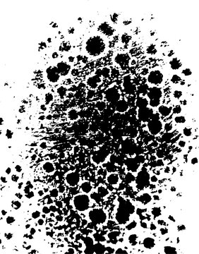 detailed splatters, ink blots, and scattered spotted patterns bleeding outward on a white background. Perfect for abstract design, distressed overlays, and creative backgrounds.