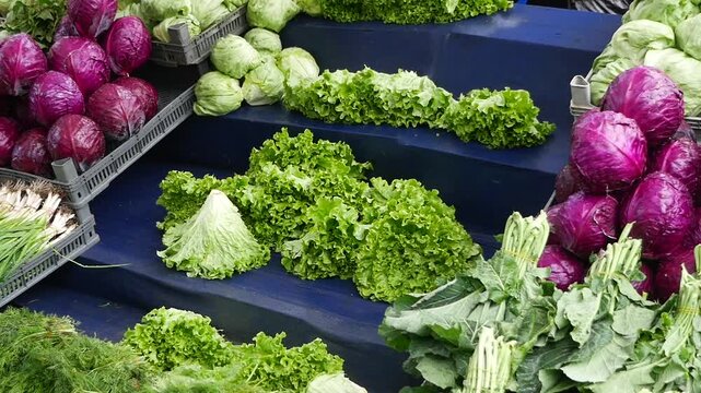 Fresh vegetables on display at a local market