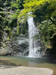 Fototapeta premium Minoh Waterfall Cascading Over Mossy Rocks Osaka Japan