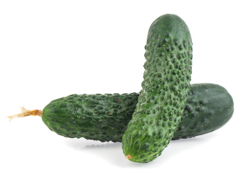 Cucumber isolated on a white background.