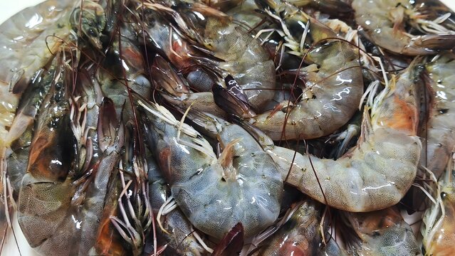 fresh shrimp seafood close up background.