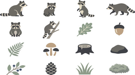 Obraz premium Charming set of raccoon illustrations with forest elements like leaves and acorns on a white background.