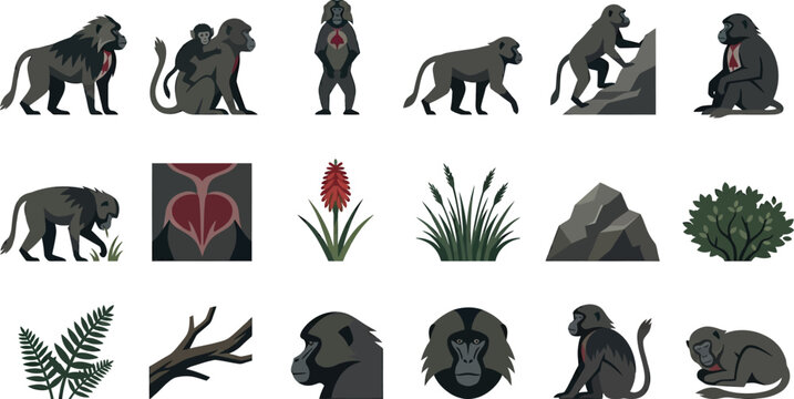 Collection of flat vector icons showing the gelada monkey in diverse poses with highland habitat plant elements