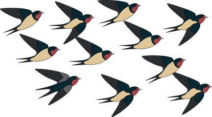 eamless background pattern with cartoon barn swallows migration flying in the sky for wildlife and ornithology graphic assets © Raju