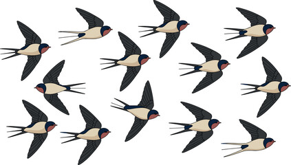Seamless background pattern with cartoon barn swallows migration flying in the sky for wildlife and ornithology graphic assets © Raju
