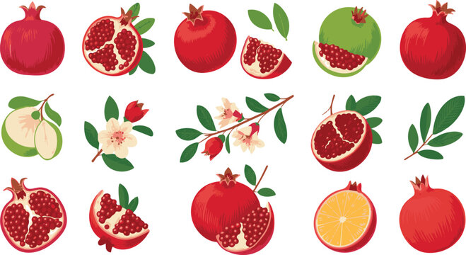 Fresh juicy pomegranates, ripe delicious garnet fruit slices and halves, pomegranate seeds. Healthy antioxidant rich food, hand drawn pomegranate tree branch with leaves and red flowers vector set