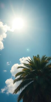 Vintage palm tree reaches toward sun drenched blue sky with fluffy clouds above, paradise, sunny