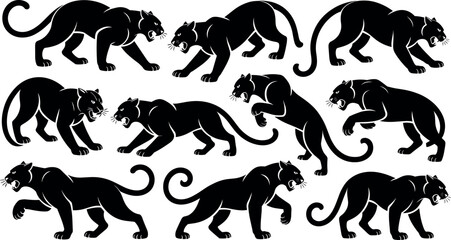 Set of black panther silhouettes crawling jumping and roaring in various aggressive poses vector illustration isolated on white background. © Raju