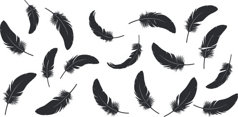Floating black bird feather silhouettes set collection vector illustration isolated on white background for graphic design © Raju