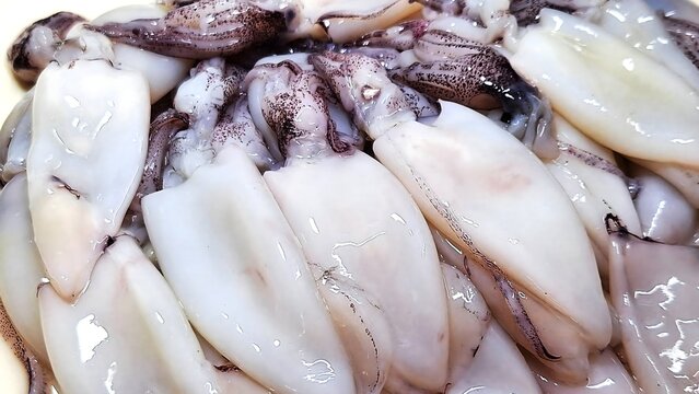 Close-up of fresh raw squids, seafood background.