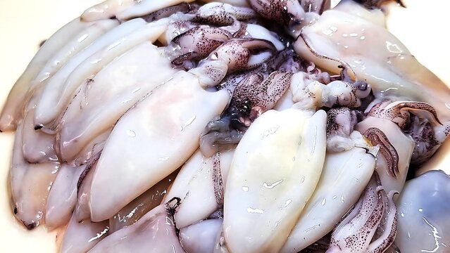 Close-up of fresh raw squids, seafood background.