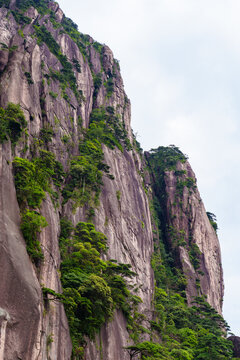 A view of the steep granite cliffs covered with green trees and vegetation at Sanqingshan Mountain in Jiangxi province of China