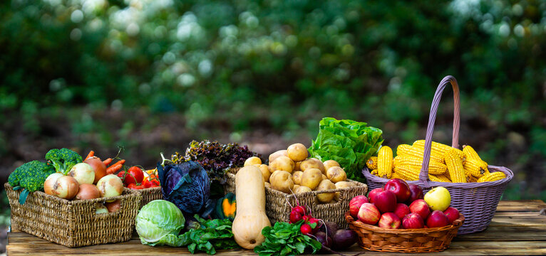 Harvest gathers colorful fresh produce. Harvest supplies nutritious vegetables daily. Harvest fills baskets with abundance. Harvest promotes healthy lifestyles.
