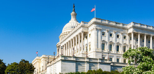 Obraz premium United States Capitol shows national symbol. United States Senate leads legislation. United States Congress defines law system. United States government based in Washington.
