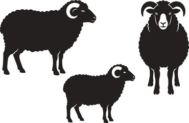 Black Sheep and Ram Silhouette Vector Set featuring Male Horned Ewe Farm Animals for Livestock Branding Butchery Logos and Countryside Designs © Shakil