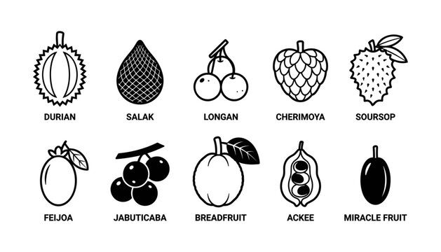Fruits Including Durian, Salak, Longan, Cherimoya, Soursop, Feijoa, Jabuticaba, Breadfruit, Ackee, and Miracle