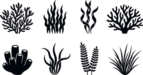Underwater Coral Reef and Seaweed Vector Icon Set with Marine Plants, Algae, and Kelp Silhouettes for Ocean Graphic Designs and Aquatic Decorations © Chiron
