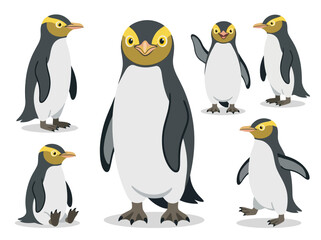 Fototapeta premium A collection of cute cartoon yellow-eyed penguins in various poses and actions.