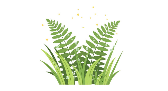 Green fern leaves and grass with morning dew