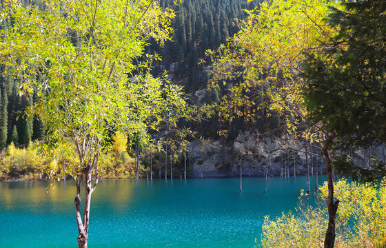 Picturesque autumn scenery of Kaindy lake with dead trees, Kolsay Lakes National Park, northern region of Tien Shan Mountains, Kazakhstan. Alpine Kaindy lake, Almaty region, Kazakhstan