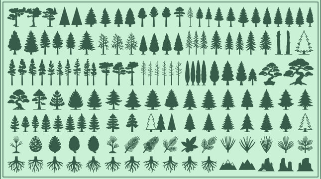 Ensemble complet de silhouettes d'arbres, de conif&egrave;res, de feuillus et de syst&egrave;mes racinaires d&eacute;taill&eacute;s pour des projets de conception graphique et d'am&eacute;nagement paysager.
